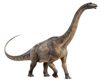 Imagen PNG para descargar